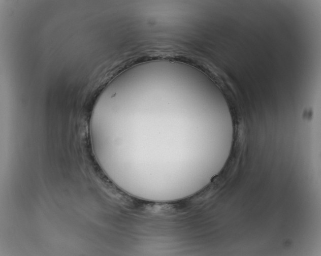 X0000111220517200907021003