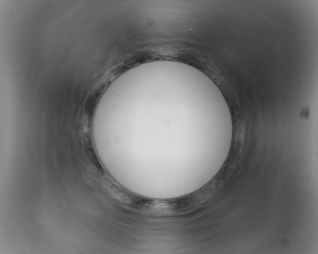 X0000111220518200907021003