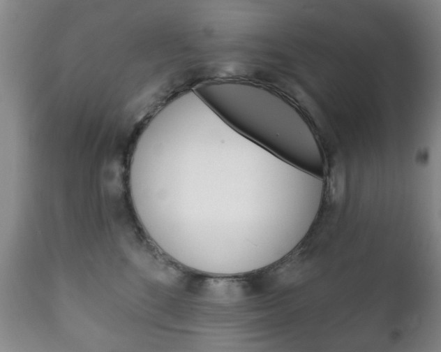 X0000111220520200907021003
