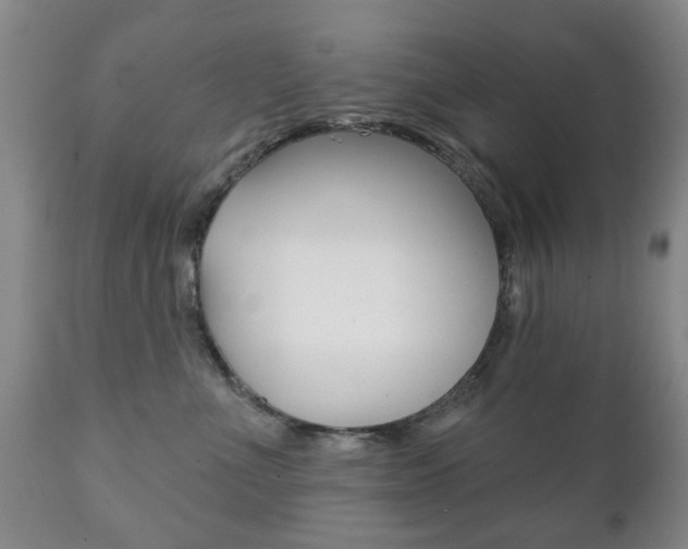 X0000111220523200907021003