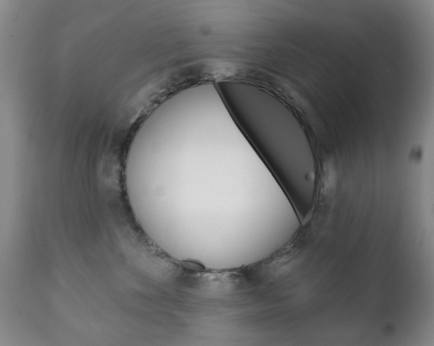 X0000111220524200907021003
