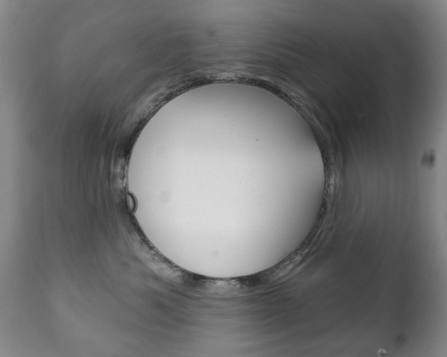 X0000111220525200907021003