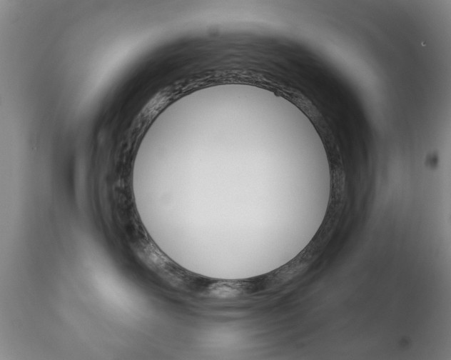 X0000111220526200907021003