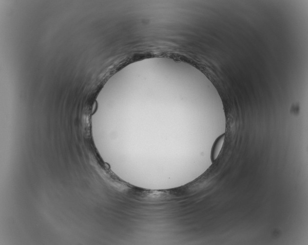 X0000111220527200907021003
