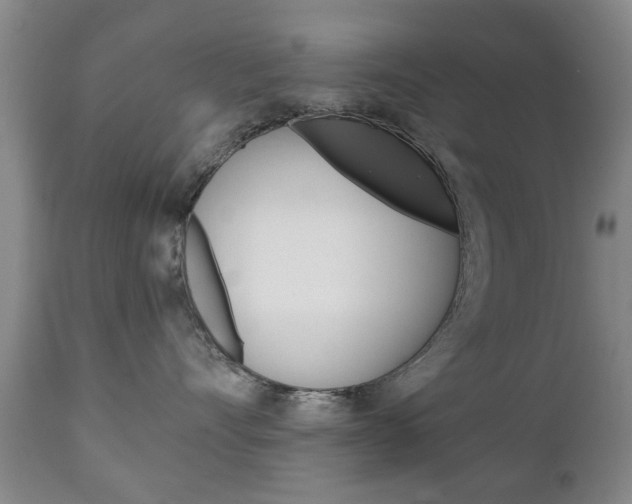 X0000111220528200907021003