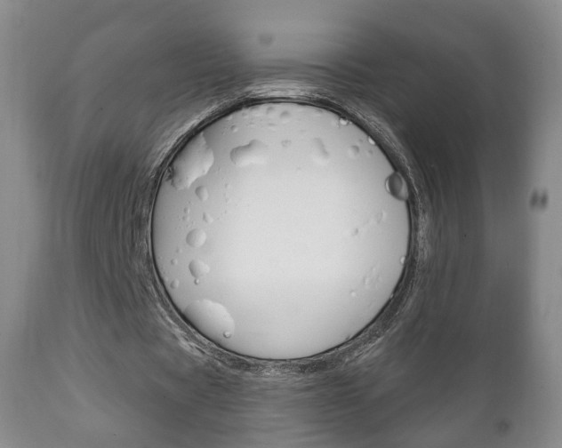X0000111220529200907021002