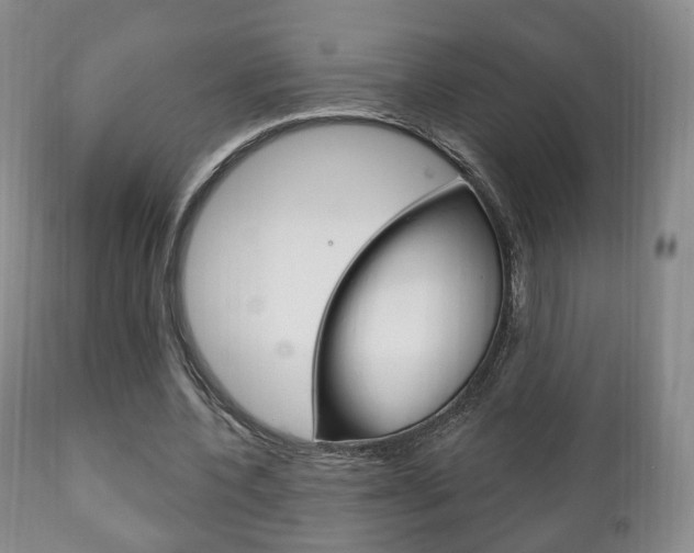 X0000111220532200907021003