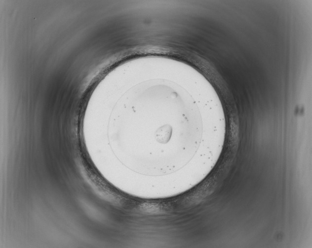 X0000111220534200907021003