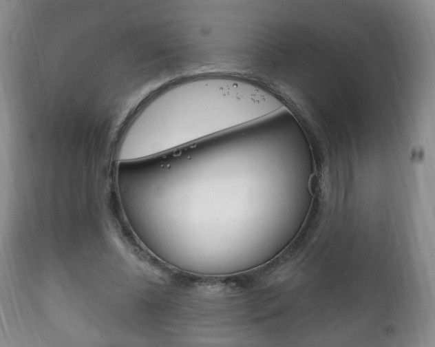 X0000111220540200907021003