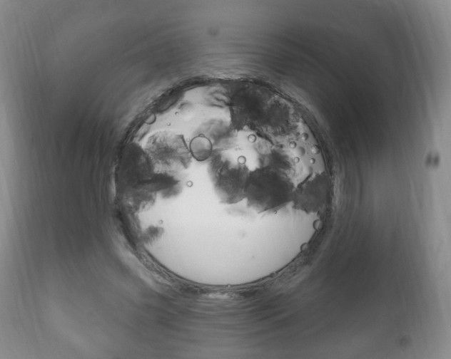 X0000111220541200907021003