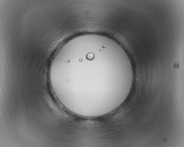 X0000111220542200907021003