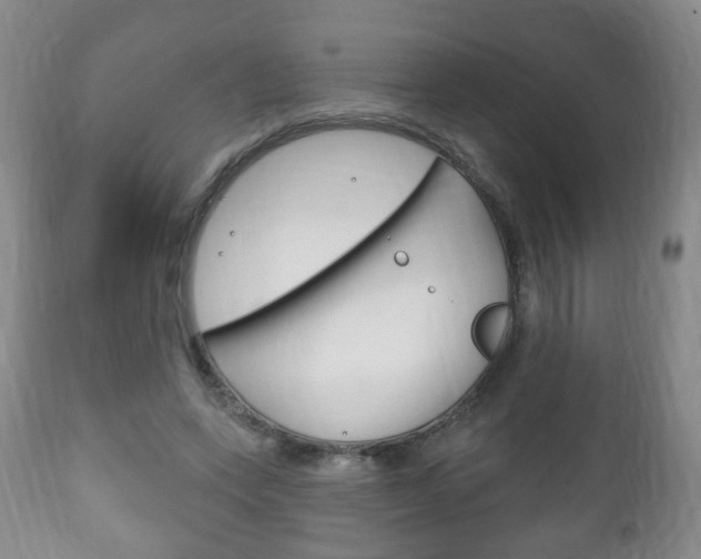 X0000111220543200907021003