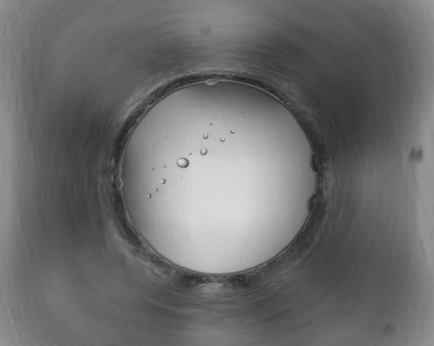 X0000111220544200907021003