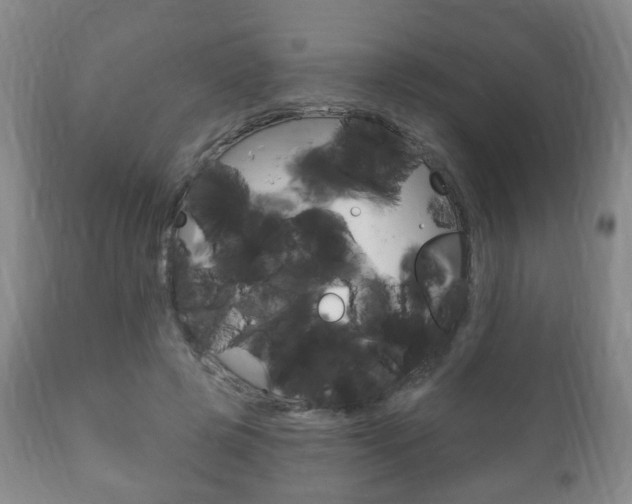 X0000111220545200907021003