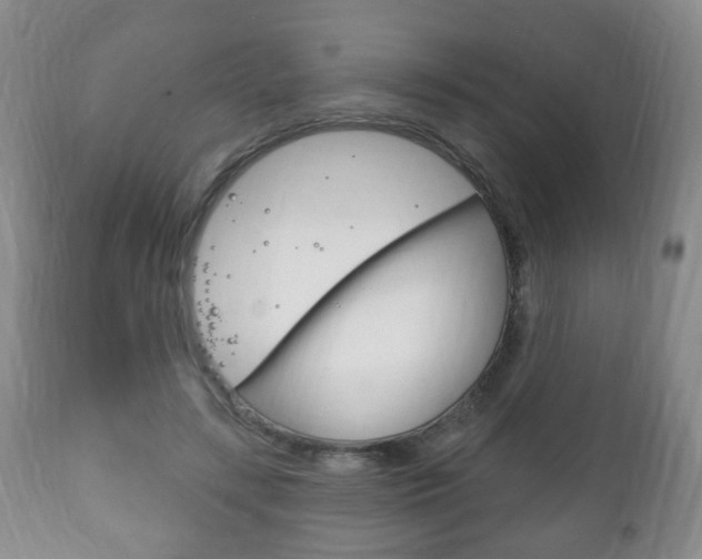 X0000111220547200907021003
