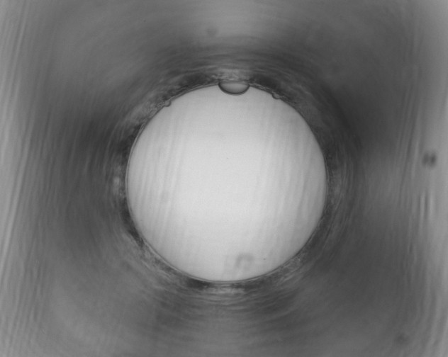 X0000111220553200907021003