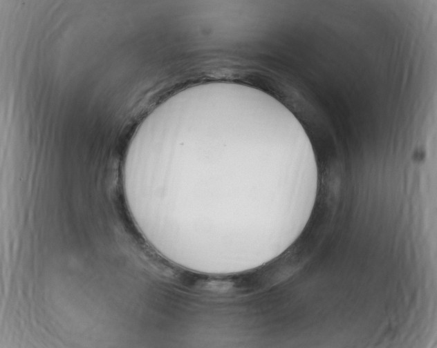 X0000111220554200907021003
