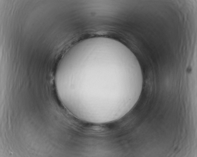 X0000111220555200907021003