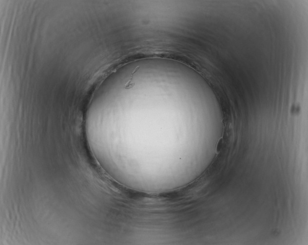 X0000111220556200907021003
