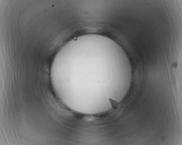 X0000111220557200907021003