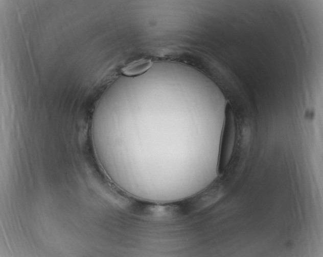 X0000111220558200907021003