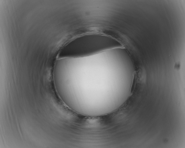 X0000111220560200907021003