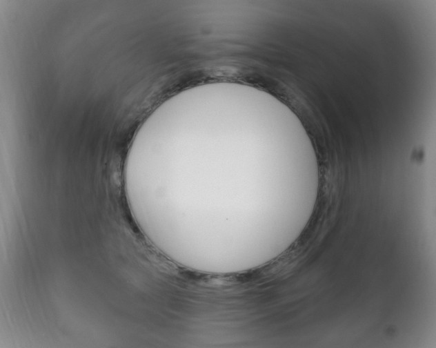 X0000111220561200907021003