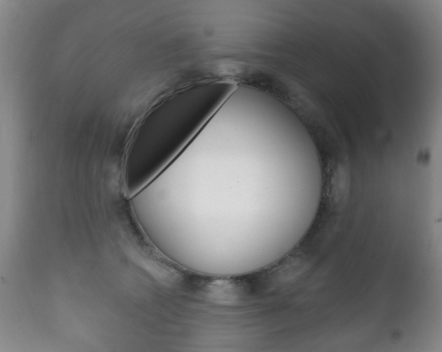 X0000111220562200907021003