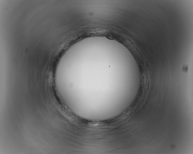 X0000111220564200907021003