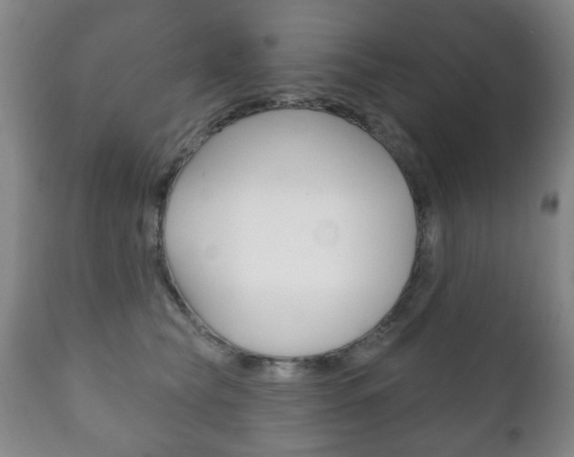 X0000111220565200907021003