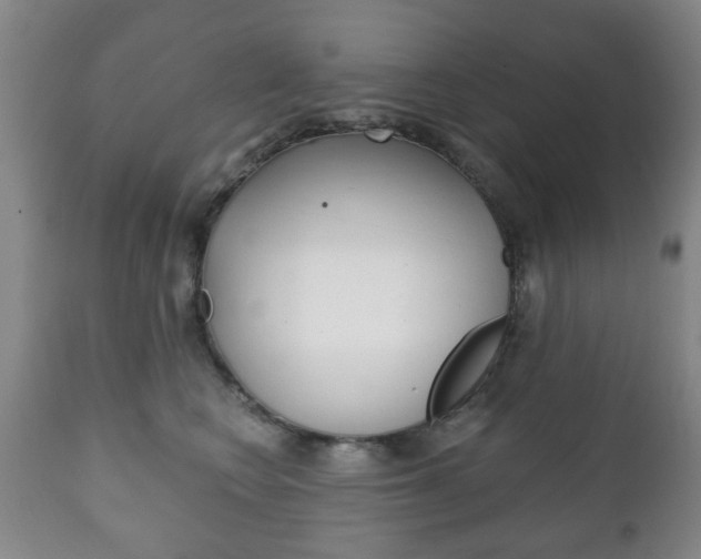 X0000111220566200907021003