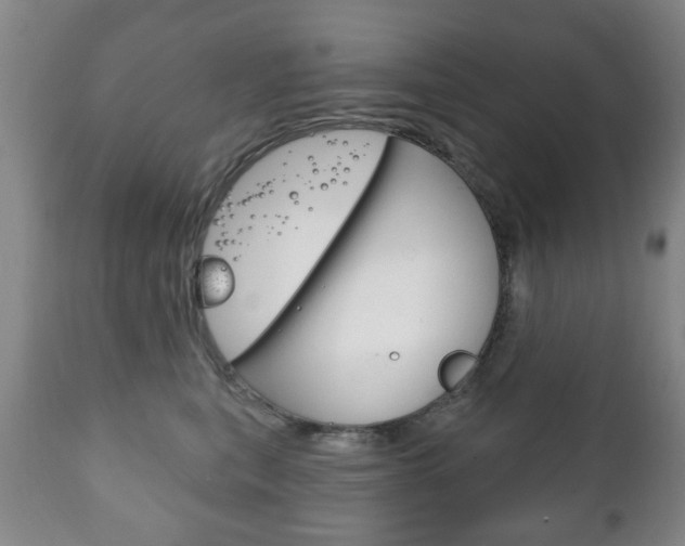 X0000111220567200907021003