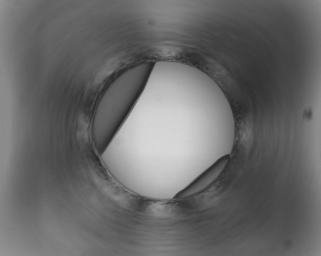 X0000111220568200907021003