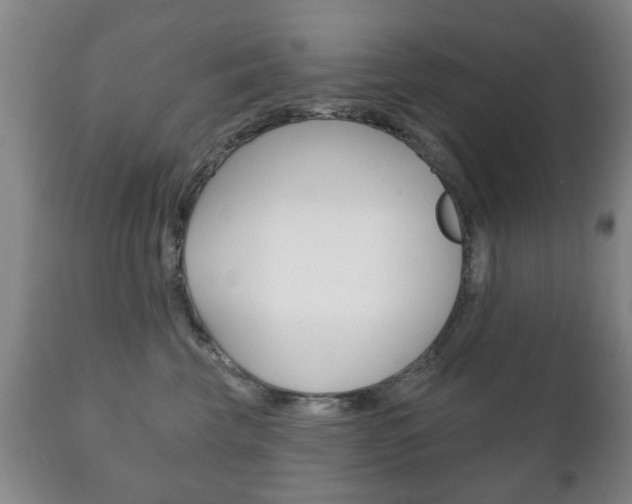 X0000111220569200907021003