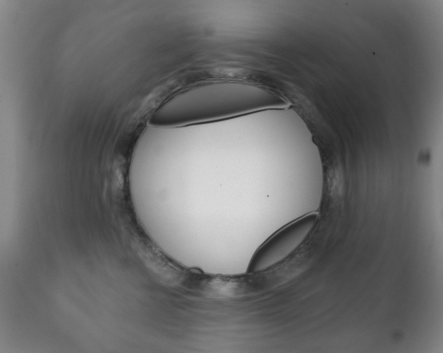 X0000111220570200907021003