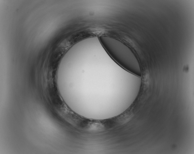 X0000111220572200907021003