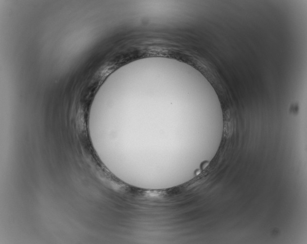X0000111220573200907021003