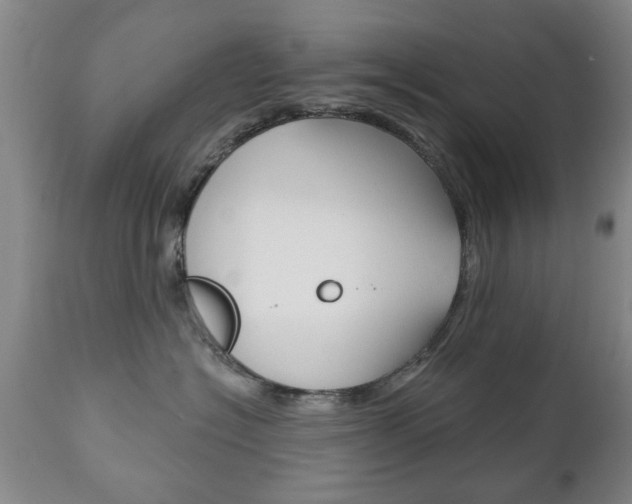 X0000111220574200907021003