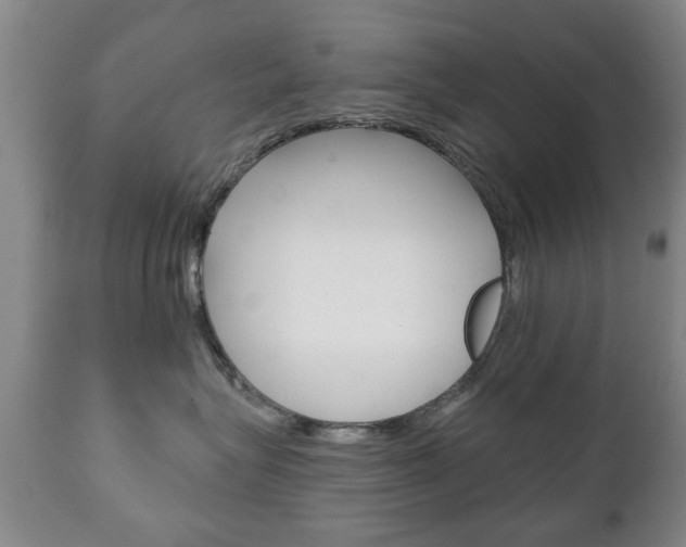 X0000111220575200907021003