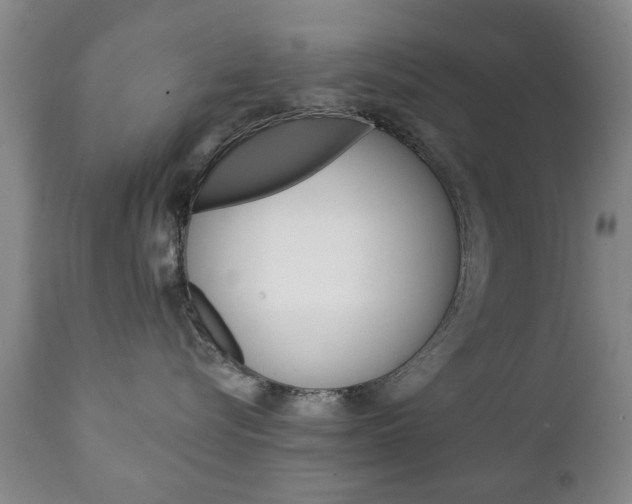 X0000111220576200907021003