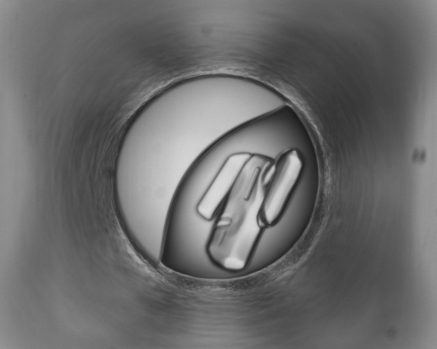X0000111220577200907021002