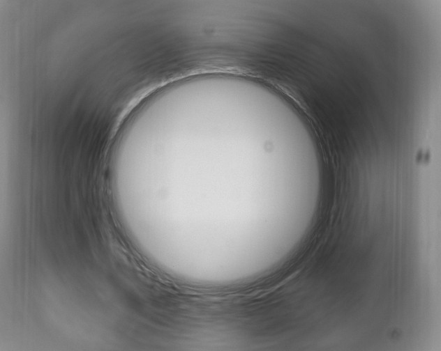 X0000111220579200907021002