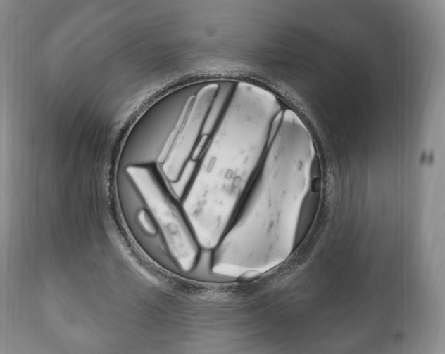 X0000111220581200907021002
