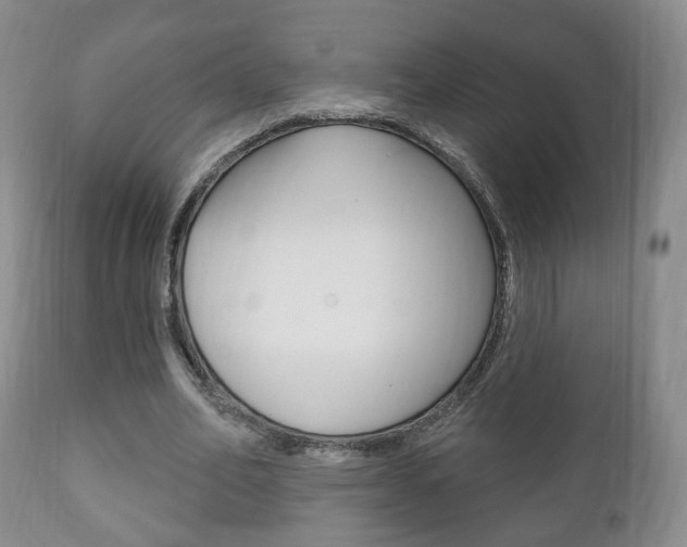X0000111220582200907021002