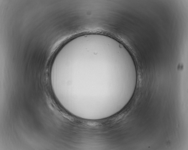 X0000111220583200907021002