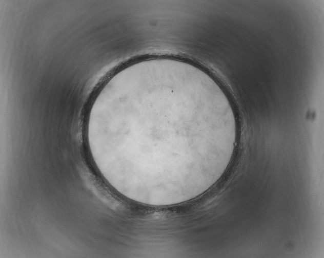 X0000111220584200907021002