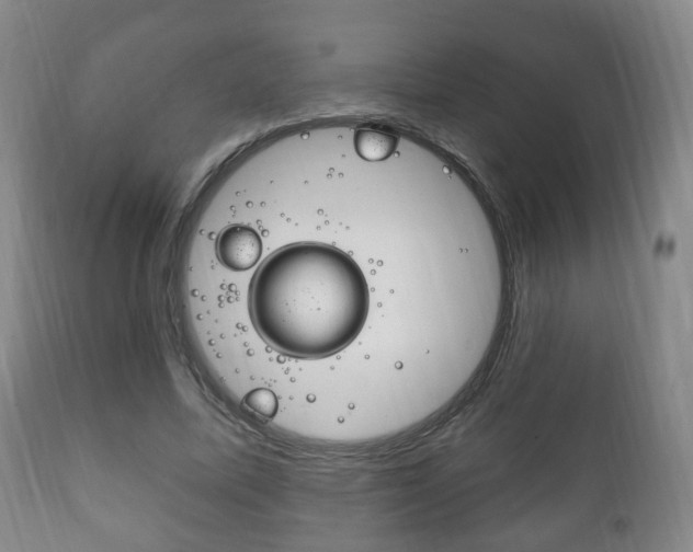 X0000111220587200907021002