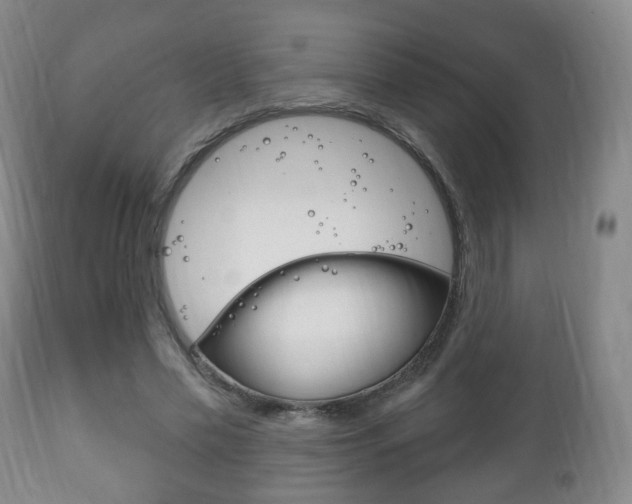 X0000111220589200907021002