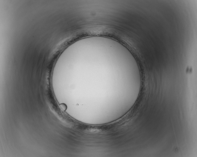 X0000111220590200907021002