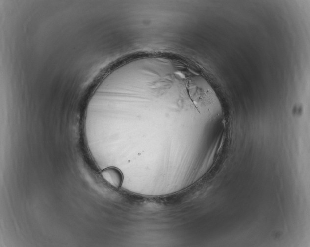 X0000111220592200907021002